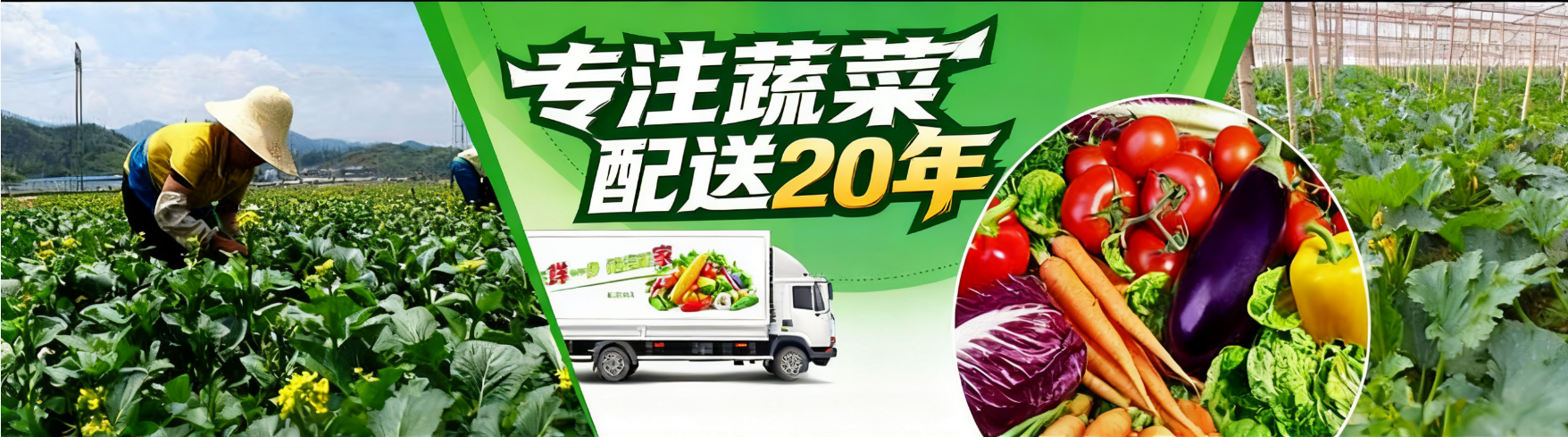 深圳蔬菜配送