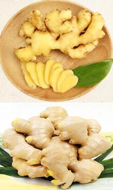 生姜圖片細節(jié)